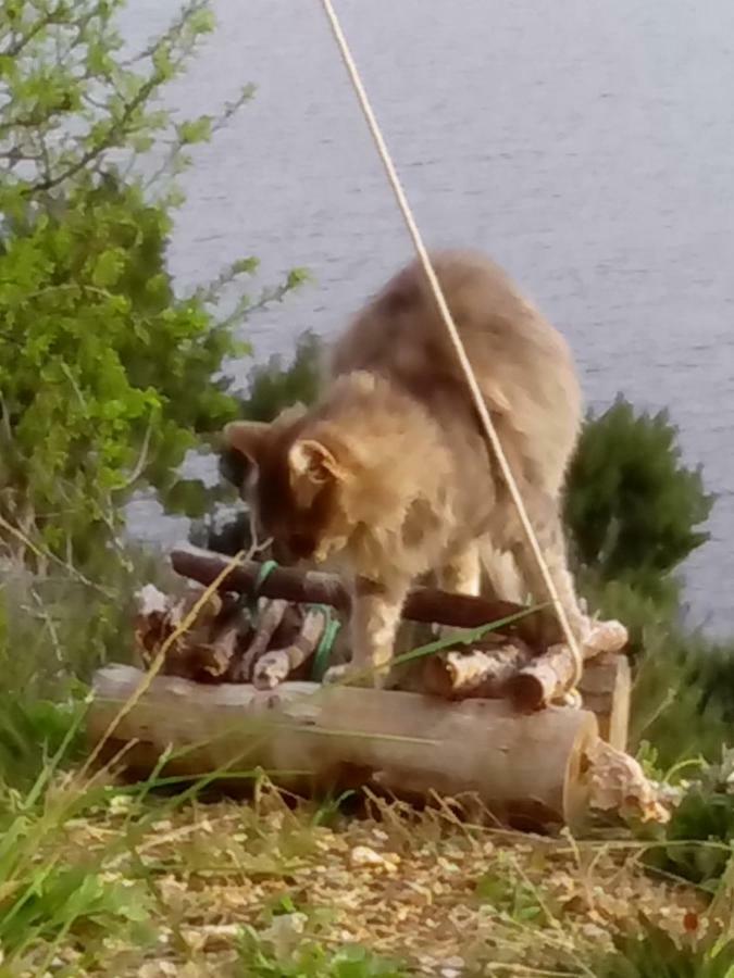 Camping Aloa Бол Екстер'єр фото